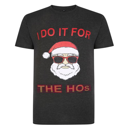 Bigdude Xmas Do It For The Ho's T-Shirt Anthrazit meliert