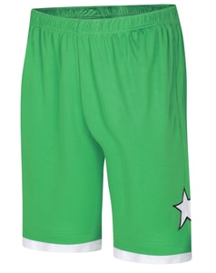 Bigdude Lagen-Basketballshorts Grün/Weiß