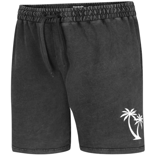 Bigdude Acid Wash Shorts Schwarz