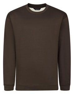 Bigdude Thermopullover mit Futter, Braun