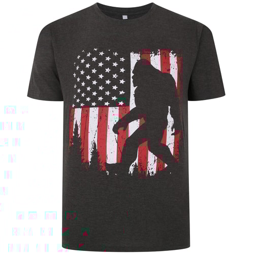 Bigdude T-Shirt mit Stars & Stripes-Print Anthrazit