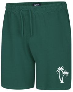 Bigdude Shorts im Used-Look, Türkis