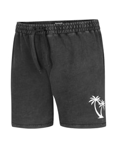 Bigdude Acid Wash Shorts Schwarz