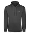 Kapuzenpullover mit Logo, schlicht, Anthrazit, lang