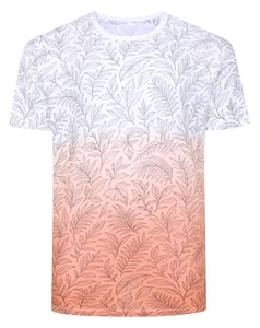 Bigdude Dip Dye AOP T-Shirt Aprikose