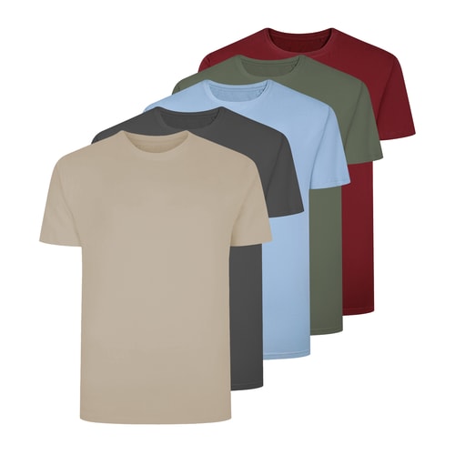 Bigdude 5er-Pack einfarbige T-Shirts, mehrfarbig