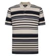 Multi Striped Single Jersey Polo Stone