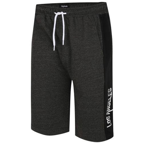 Bigdude – Joggingshorts aus Loopback mit LA-Print, Anthrazit