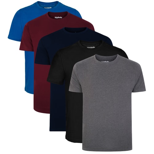 Bigdude – 5er-Pack schlichte T-Shirts, mehrfarbig, groß
