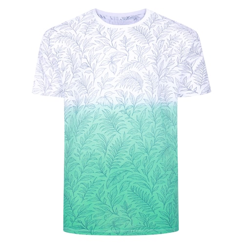 Bigdude Dip Dye AOP T-Shirt Jelly Mint Tall