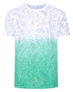 Bigdude Dip Dye AOP T-Shirt Jelly Mint Tall