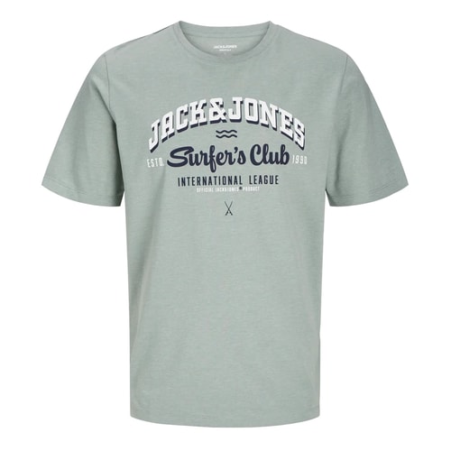 Jack & Jones – Superior – Bedrucktes T-Shirt in Eisberggrün