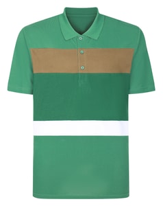 Bigdude Cut And Sew Polo Grün