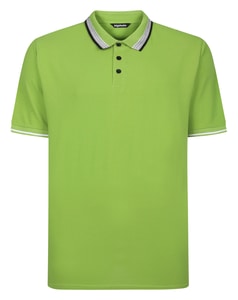 Bigdude Dot Pattern Tipped Polo Grass Green