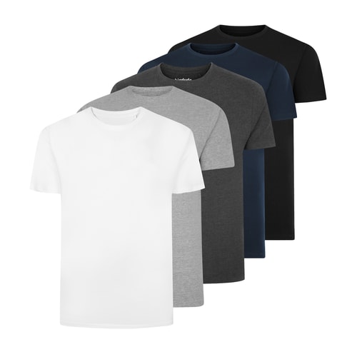 Bigdude – 5er-Pack schlichte T-Shirts, mehrfarbig, groß