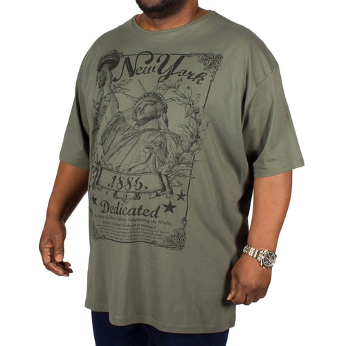 Pierre Roche Freiheitsstatue T-Shirt