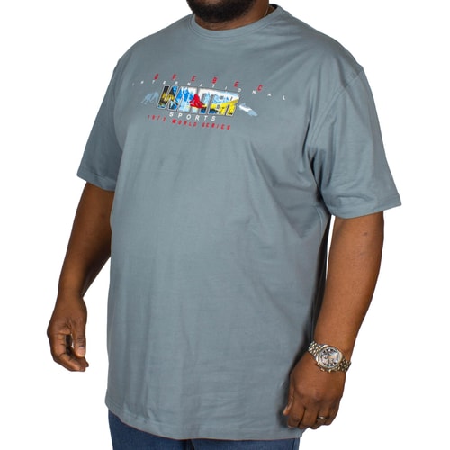 Cotton Valley T-Shirt mit Winter Sports Print Blau 