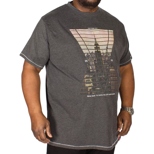D555 T-Shirt Rox mit New York Print Anthrazit 