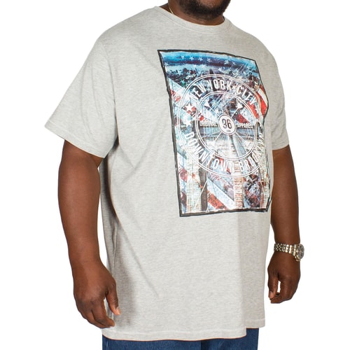 D555 Audley Print T-Shirt Grau